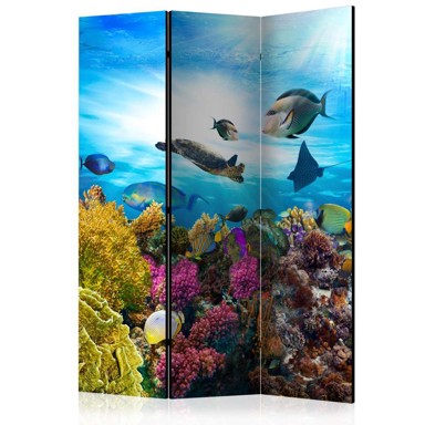 Sobna pregrada u 3 dijela Coral reef 135x172