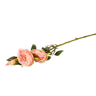 Rezano cvijeće Grana ruže, 69 cm, roza