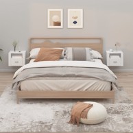 Zidni noćni ormarići 2 kom bijeli 50 x 36 x 40 cm