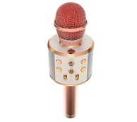 Karaoke mikrofon s zvučnikom, rozi