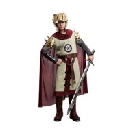 MY OTHER ME Kostim za odrasle thyrsus