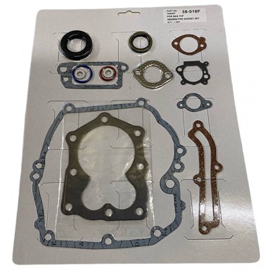 BRIGGS & STRATTON Komplet brtvi motora 590508 794307 497316