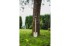 STALCO Pik S105010603 Pointed Wood Garden