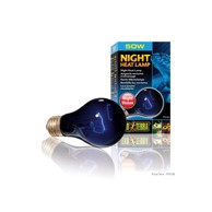 HAGEN Exo Terra Night heat lamp 50 W
