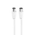 CHAMPION Antenski TV kabel, 75 Ω, 1,5 m, bijeli