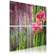 Slika Bamboo and orchid 40x40