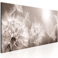 Slika Summer Dandelions 135x45
