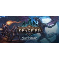 Igra za PC: Pillars of Eternity II: Deadfire - Beast of Winter (STEAM Key)
