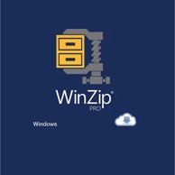 WINZIP Softver 28 Pro, trajna licenca