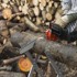 Metalni stalak za rezanje drva podesivi, 120 kg
