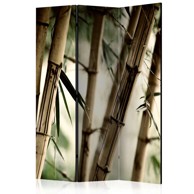 Sobna pregrada u 3 dijela Fog and bamboo forest 135x172