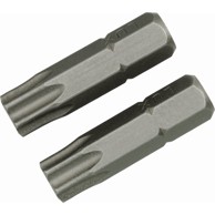 LUX TOOLS Bit za bušilicu TORX-BIT-KOMPL. TX40/2 kom.
