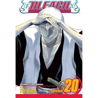 Bleach vol. 20