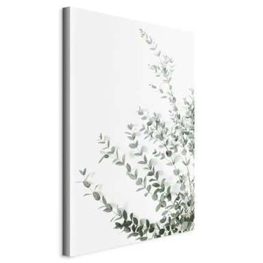 Slika Eucalyptus Parvifolia, jednodijelna, okomita, 80x120 cm