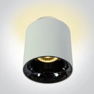 Nadgradni reflektor, DM12112A/W/W, 10W+2W, toplo bijela, IP20, 60°, 230V, bijela