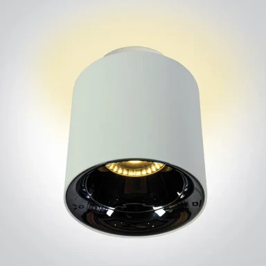 Nadgradni reflektor, DM12112A/W/W, 10W+2W, toplo bijela, IP20, 60°, 230V, bijela