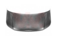 VAN WEZEL Hauba VW T6