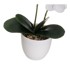 CASA SELECCION Umjetna biljka Orchid, visina 39 cm