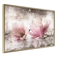 Poster Picked Magnolias 60x40