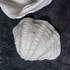 METTE DITMER DENMARK Ukrasna posuda od polyresina 24x19 cm Shell