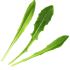 SMART GARDEN Aurelia Pro “Probava” set