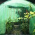 SPRINGOS Folija za plastenik 2x2x2 m