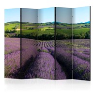 Sobna pregrada u 5 dijelova Lavender fields II 225x172