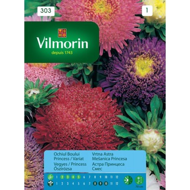 VILMORIN Sjeme cvijeća lijepa kata princes mix