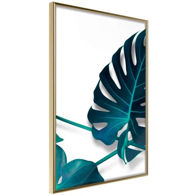 Poster Turquoise Monstera I 20x30