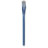 INTELLINET Mrežni kabel RJ-45 Cat6 U/UTP, 0,3 m, plavi