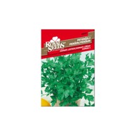 ROYAL SEEDS Sjeme povrća 57 peršin domaći lišćar