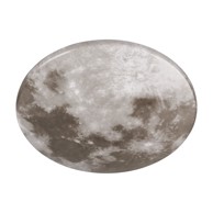 TRIO Smeđa LED stropna svjetiljka ø 37 cm Moonika