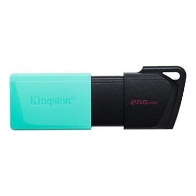 KINGSTON Memorija DataTraveler Exodia M 256GB DTXM/256GB, crno/zeleni