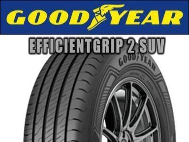 GOODYEAR EFFICIENTGRIP 2 SUV 255/55R19 111V XL, ljetne gume