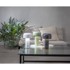 STAR TRADING Zelena LED stolna lampa (visina 21,5 cm) Bobby 