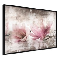 Poster Picked Magnolias 45x30
