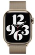 APPLE Remen Gold Milanese Loop 41mm 