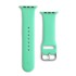HURTEL Remen za sat, za Apple Watch 38/40/41 mm, silikon, mint