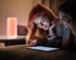 VERKGROUP LED RGB punjiva stolna noćna lampa, USB, dodirna, bijela