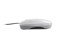 INTEX Magnetno LED svjetlo za bazen 28698