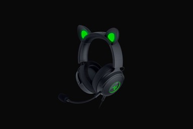 RAZER Slušalice Kraken V2 Pro, crne