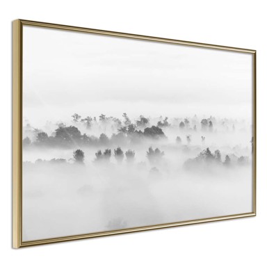 Poster Fog Over the Forest 90x60