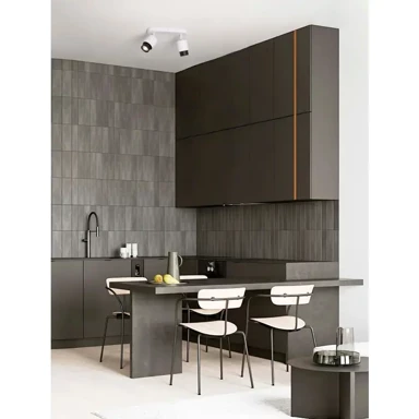 Reflektor, Ison, NL9011326, GU10, 2x10W, bijela