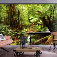 Foto tapeta Forest Brook 250x175
