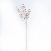 Rezano cvijeće Grana orhideje, 90 cm