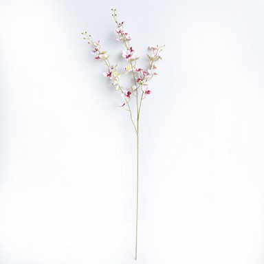 Rezano cvijeće Grana orhideje, 90 cm