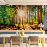 Foto tapeta Čudesna šuma, 500x350 cm, vodootporna