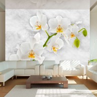 Foto tapeta Lyrical orchid White 400x280