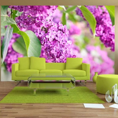 Foto tapeta Lilac flowers 400x280
