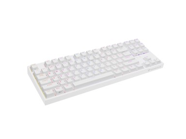 GENESIS Tipkovnica Thor 404 TKL, mehanička, USB, US International, RGB, bijela